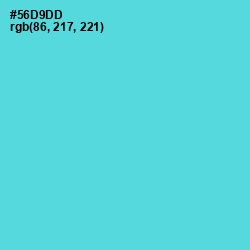 #56D9DD - Viking Color Image