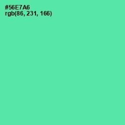 #56E7A6 - De York Color Image