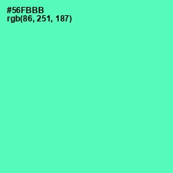 #56FBBB - De York Color Image