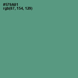 #579A81 - Smalt Blue Color Image