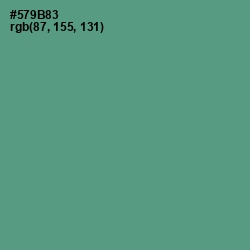 #579B83 - Smalt Blue Color Image