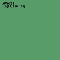 #579C69 - Spring Leaves Color Image