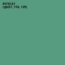 #579C81 - Smalt Blue Color Image