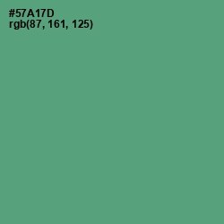 #57A17D - Aqua Forest Color Image