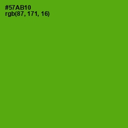 #57AB10 - Christi Color Image