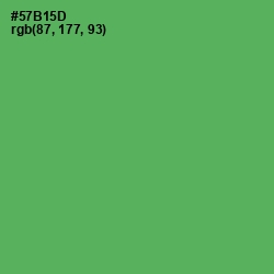 #57B15D - Fern Color Image