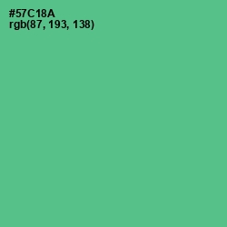 #57C18A - De York Color Image