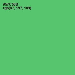 #57C56D - Emerald Color Image