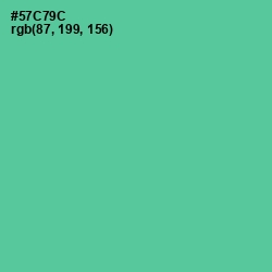 #57C79C - De York Color Image