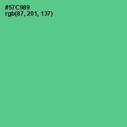 #57C989 - De York Color Image