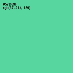 #57D69F - De York Color Image