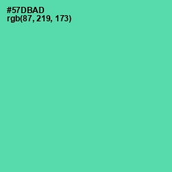 #57DBAD - De York Color Image