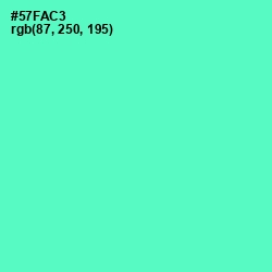 #57FAC3 - Aquamarine Color Image