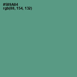 #589A84 - Smalt Blue Color Image