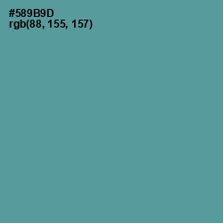 #589B9D - Smalt Blue Color Image