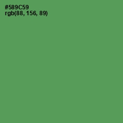#589C59 - Fruit Salad Color Image