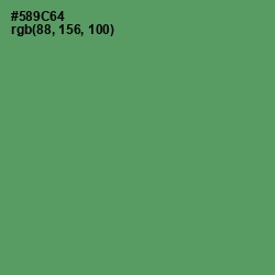 #589C64 - Spring Leaves Color Image