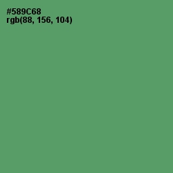 #589C68 - Spring Leaves Color Image