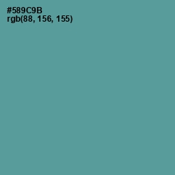#589C9B - Smalt Blue Color Image