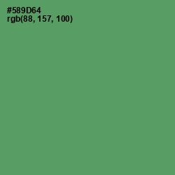 #589D64 - Spring Leaves Color Image