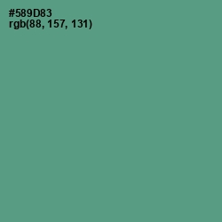 #589D83 - Smalt Blue Color Image