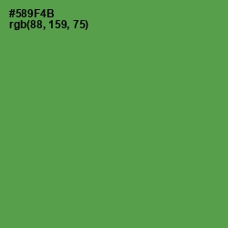 #589F4B - Fruit Salad Color Image