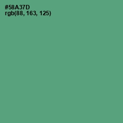 #58A37D - Aqua Forest Color Image