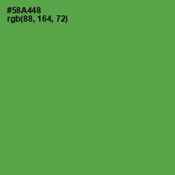 #58A448 - Fruit Salad Color Image