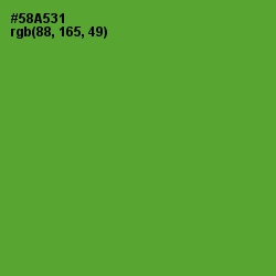 #58A531 - Apple Color Image