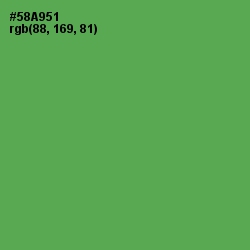 #58A951 - Fruit Salad Color Image