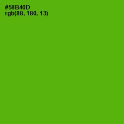 #58B40D - Christi Color Image