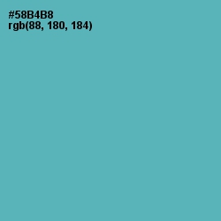 #58B4B8 - Fountain Blue Color Image