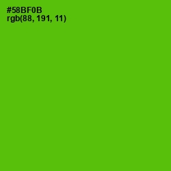 #58BF0B - Christi Color Image