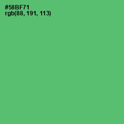 #58BF71 - Aqua Forest Color Image