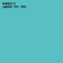 #58BFC3 - Shakespeare Color Image