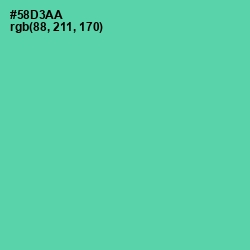 #58D3AA - De York Color Image