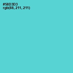 #58D3D3 - Viking Color Image