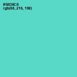 #58D8C6 - Downy Color Image