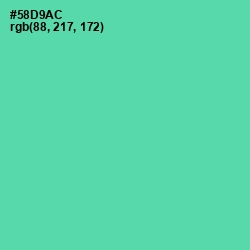#58D9AC - De York Color Image