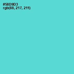 #58D9D3 - Viking Color Image