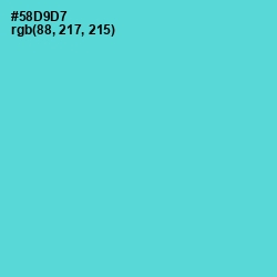 #58D9D7 - Viking Color Image