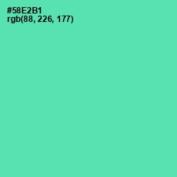 #58E2B1 - De York Color Image
