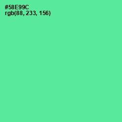#58E99C - De York Color Image