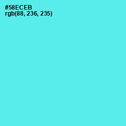 #58ECEB - Turquoise Blue Color Image