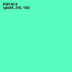 #58FAC0 - Aquamarine Color Image