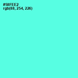 #58FEE2 - Aquamarine Color Image