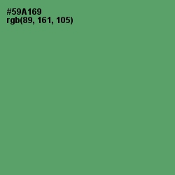 #59A169 - Aqua Forest Color Image