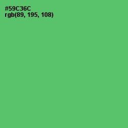 #59C36C - Emerald Color Image