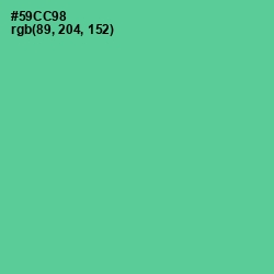 #59CC98 - De York Color Image