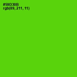 #59D30B - Bright Green Color Image